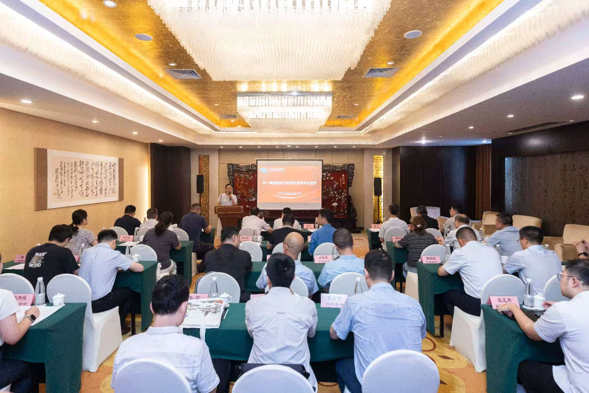 第一届省级电力系统专业学术交流会在南京召开
